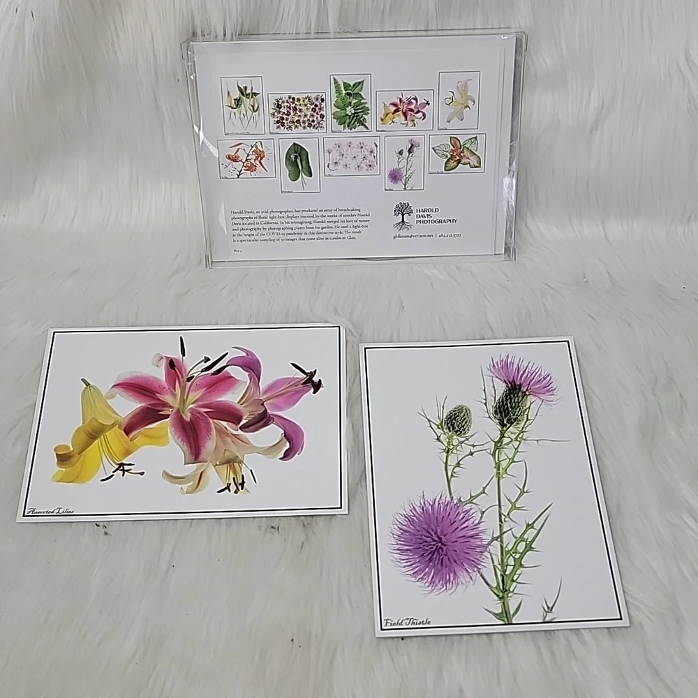 HAROLD DAVIS PHOTOGRAPHY‎ Blank Floral Green Garden Greeting Note Card Set of 10